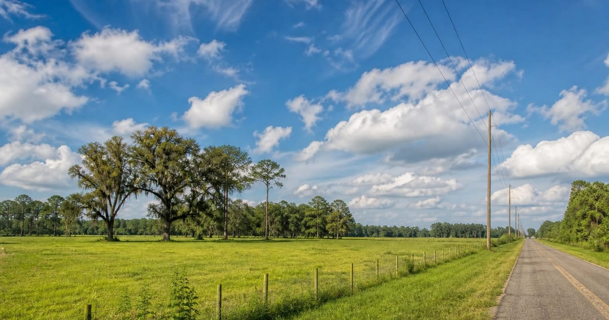 Editorial photograph illustrating: Best US States to Buy Cheap Land in 2026 (and Why Florida & Mississippi Top the List)